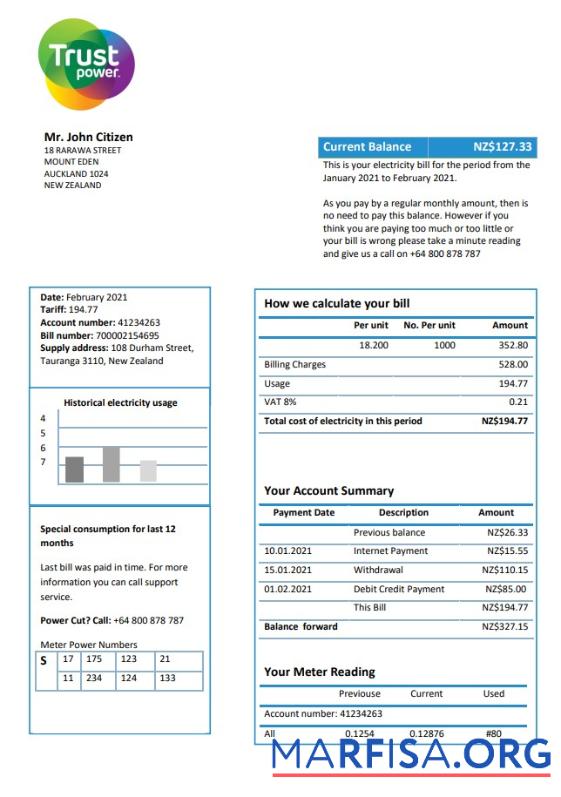 Blank New Zealand Trustpower utility bill template in Word and PDF format